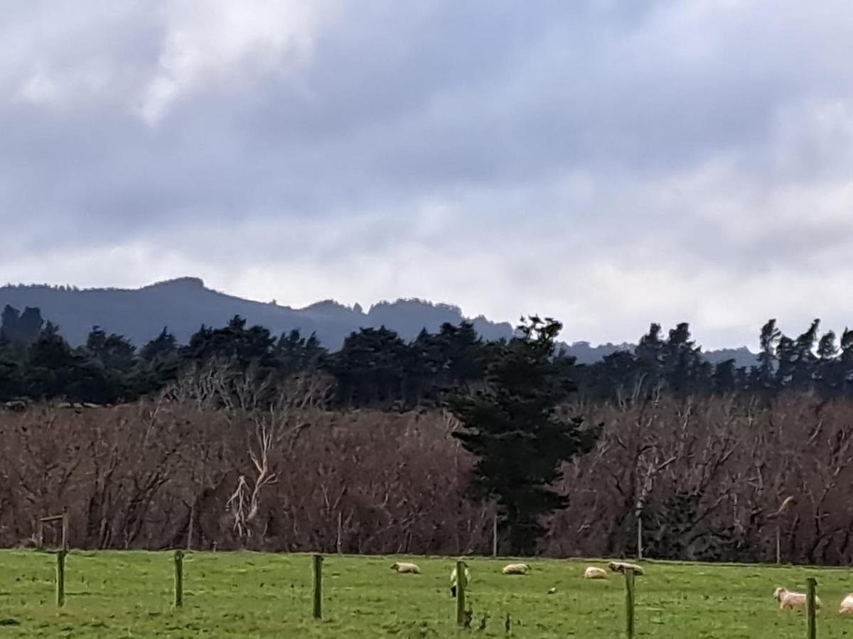 甘雅庄园住宿加早餐旅馆 温德维索 外观 照片